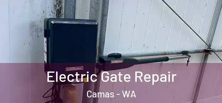 Electric Gate Repair Camas - WA