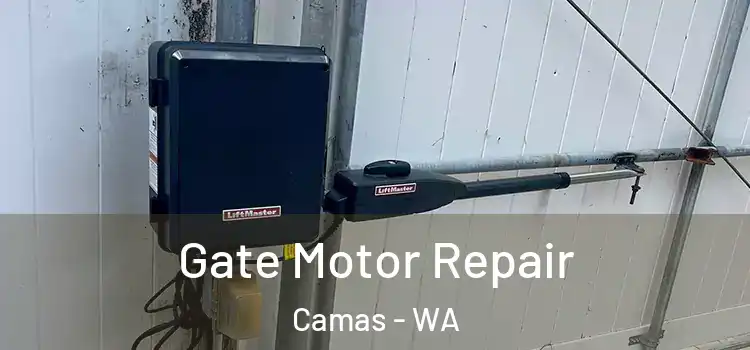 Gate Motor Repair Camas - WA