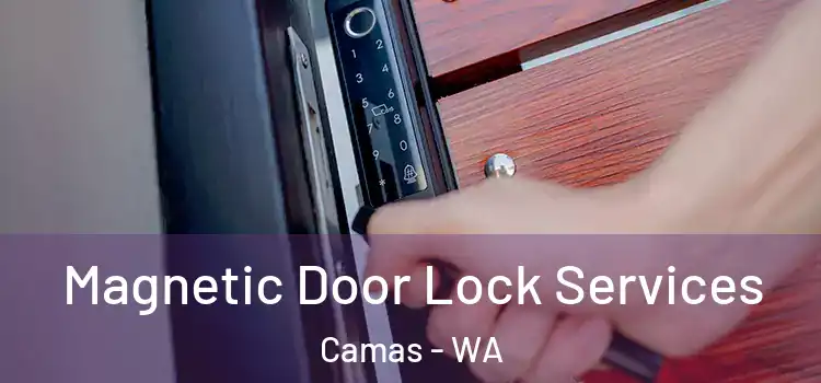 Magnetic Door Lock Services Camas - WA