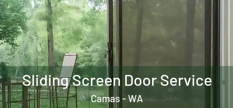 Sliding Screen Door Service Camas - WA